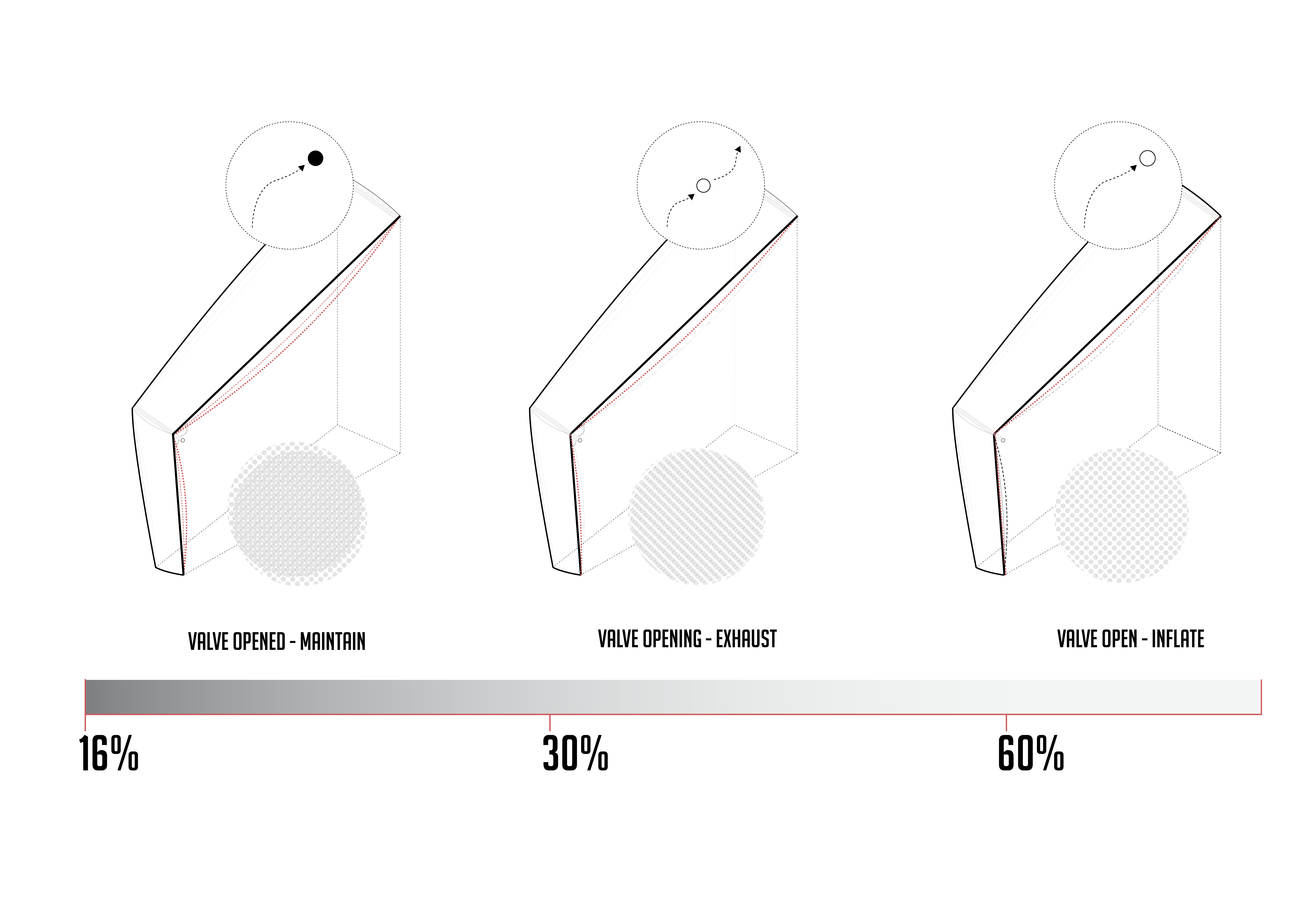 Featured work by Shannon Scott