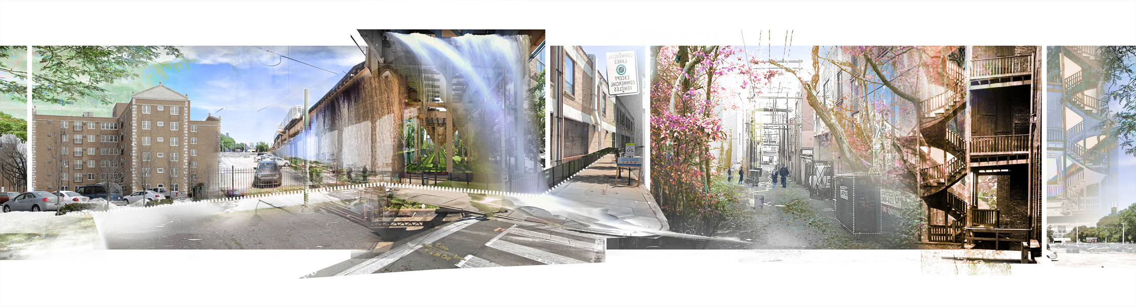 Featured work by Shannon Scott