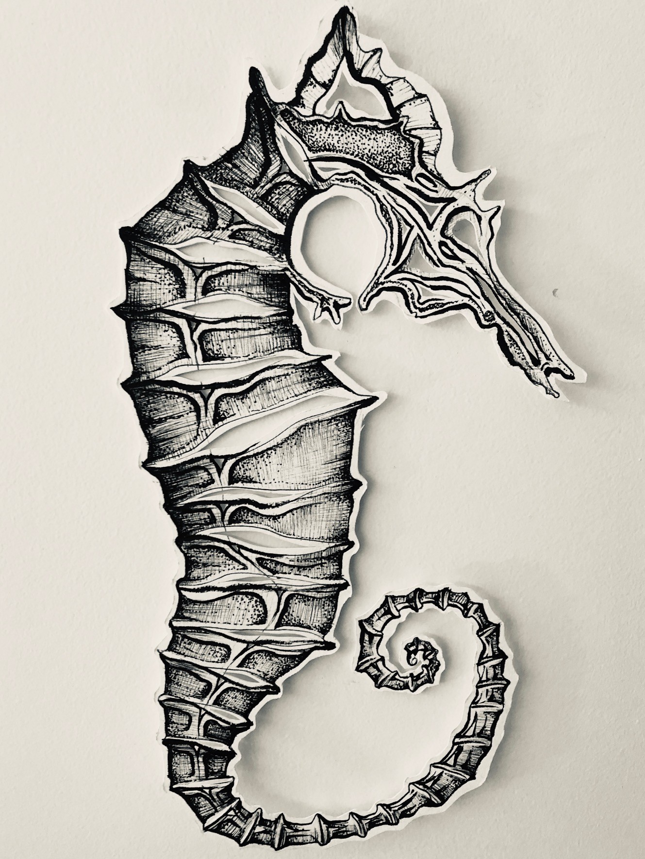 Featured work by Shannon Scott