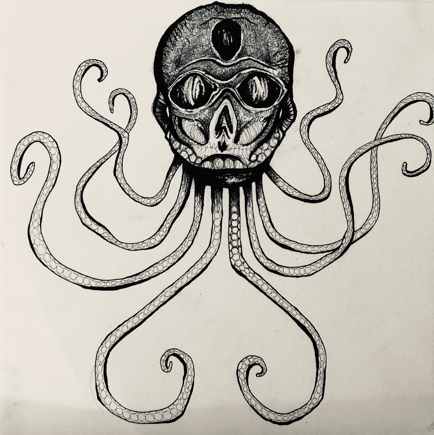 Featured work by Shannon Scott